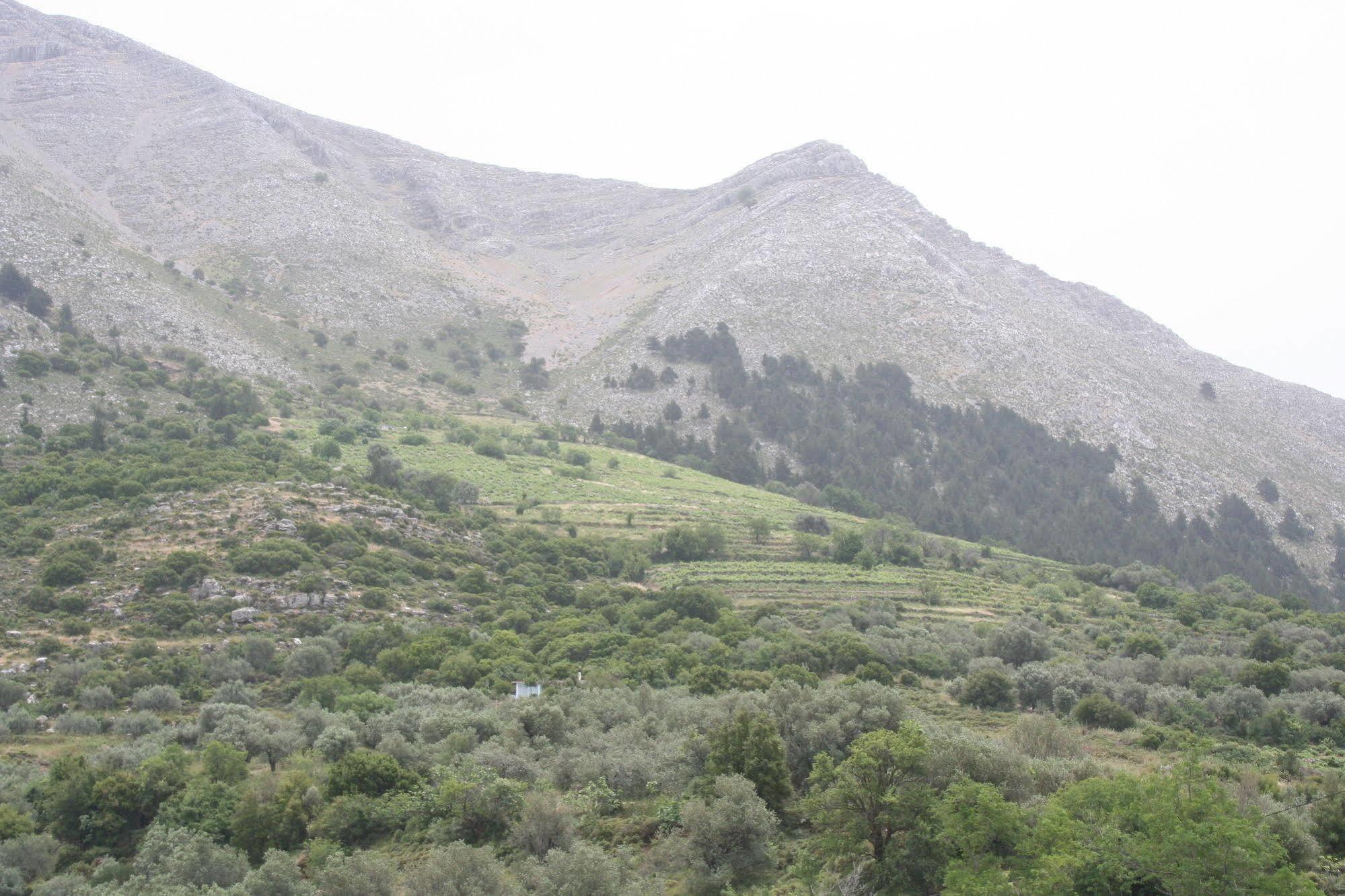 Ataviros Aparthotel Émbonas